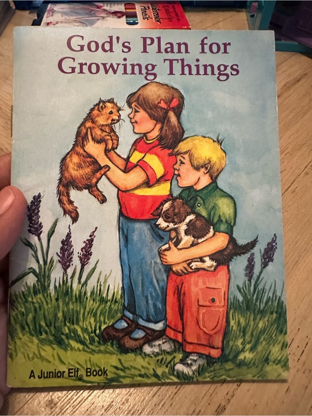 God’s Plan for Growing Things Book
A Junior Elf Vintage Religious Book